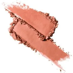 MAC Cosmetics Powder Kiss Shadow Pro Palette My Tweedy