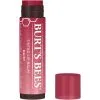 Burt's Bees Burt's Bees Tinted Lip Balm Daisy 170 G -Dora butikk P 122663