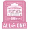 Dr. Bronner's Dr. Bronner's Cherry Blossom Organic Lip Balm Hang Pack -Dora butikk P 89484
