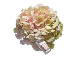 Kure Bazaar Nail Polish Rose Pearl