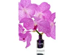 Kure Bazaar Nail Polish Catwalk -Dora butikk Y 93706